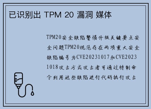 已识别出 TPM 20 漏洞 媒体