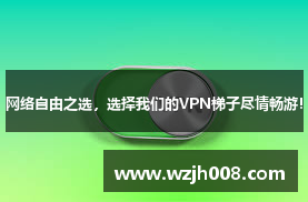 网络自由之选,选择我们的VPN梯子尽情畅游!